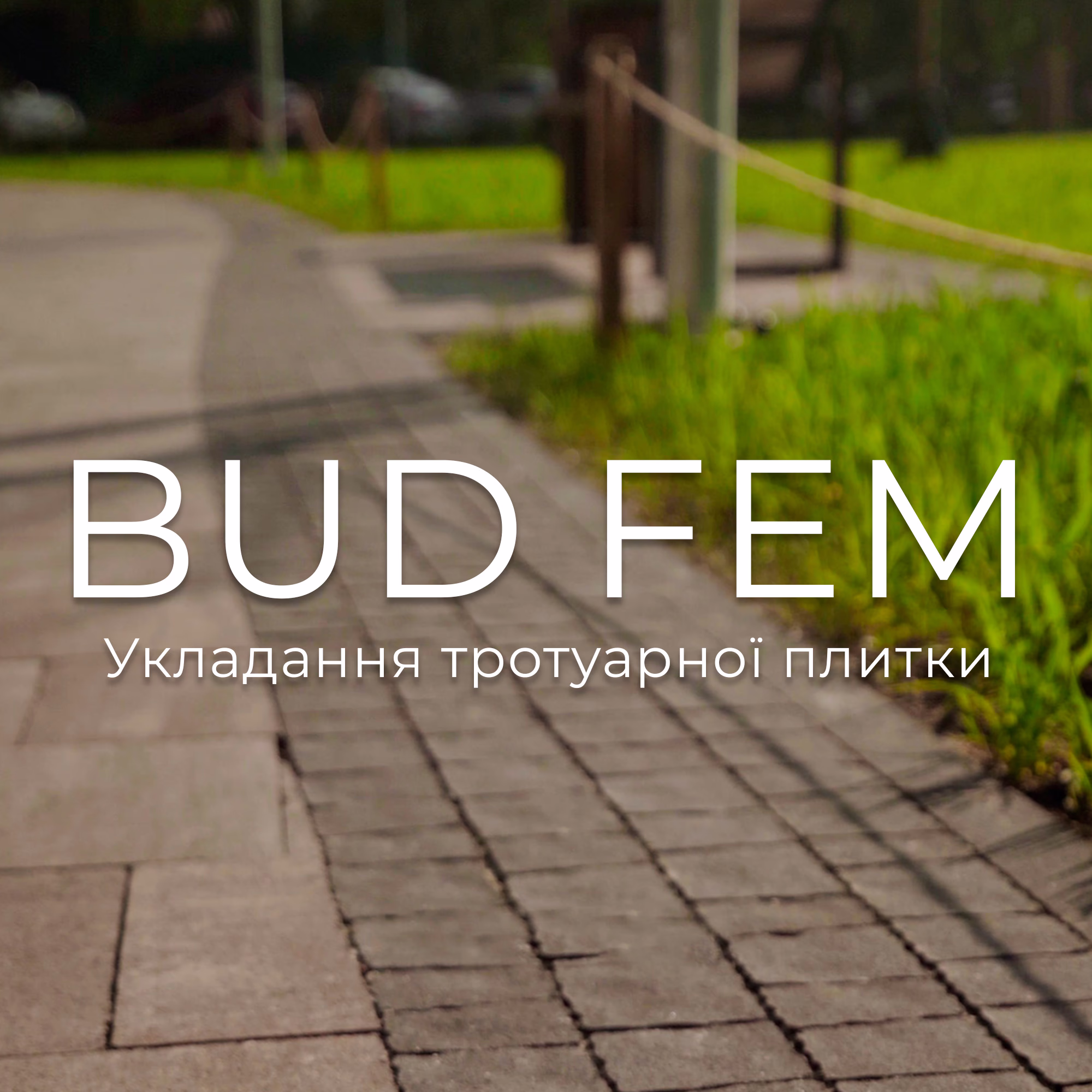 BUD FEM